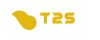 t2sti-logo-small